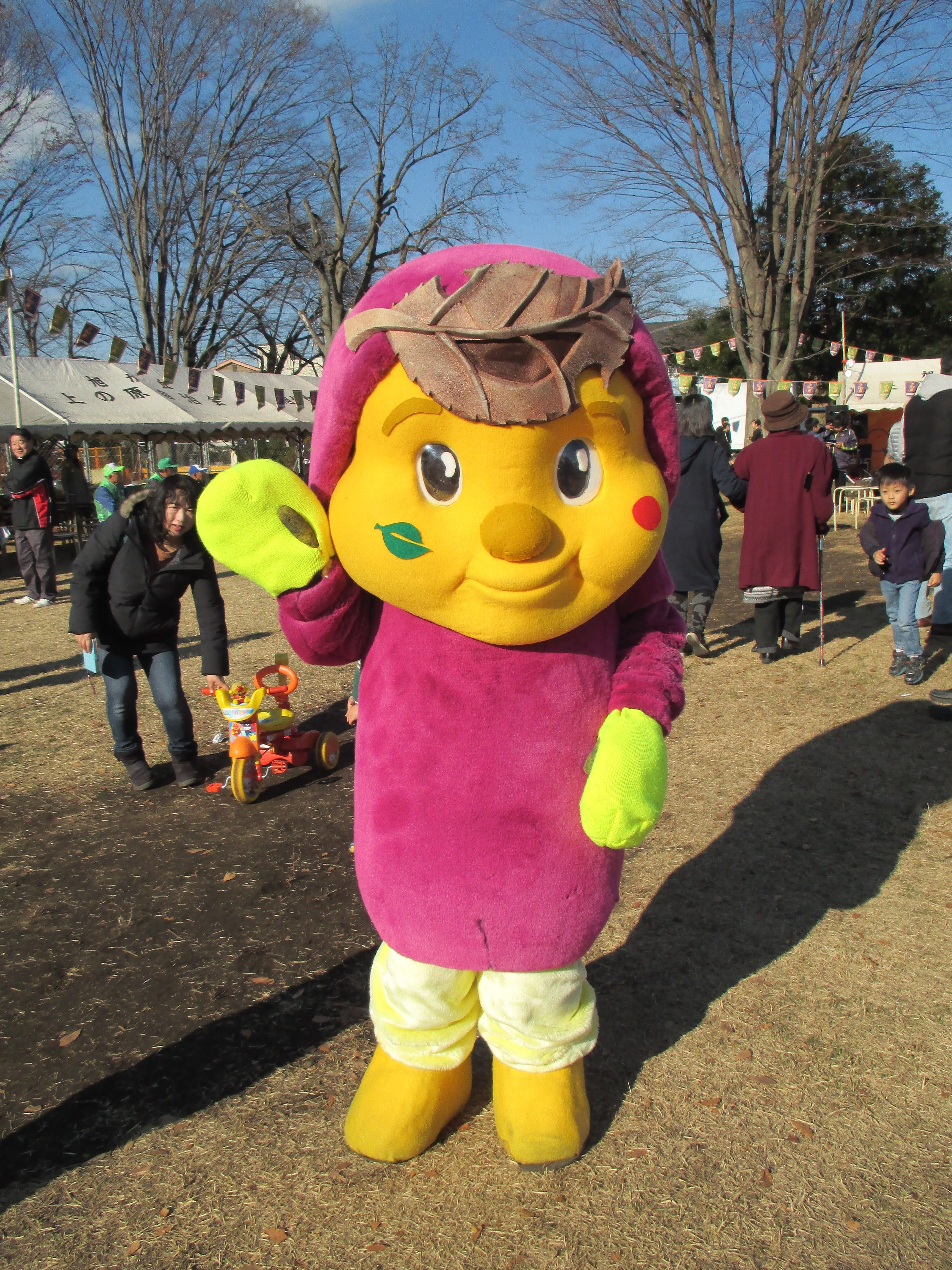 日野市旭が丘 たきび祭 メディア