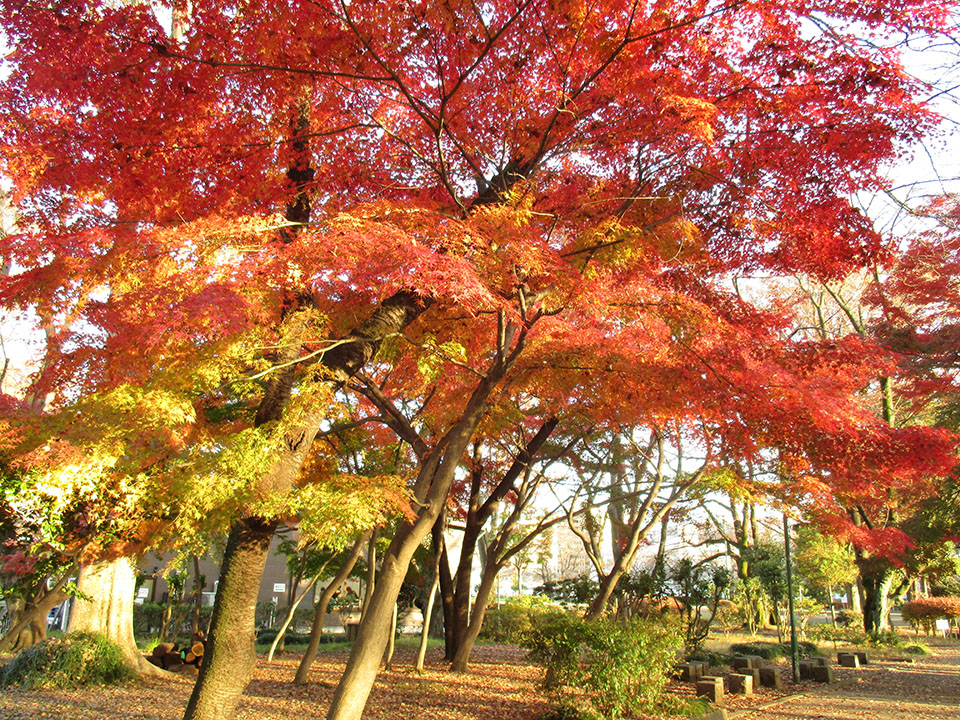 新年のご挨拶